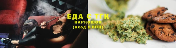 PSILOCYBIN Бородино