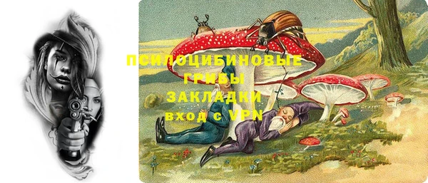 меф Богородицк