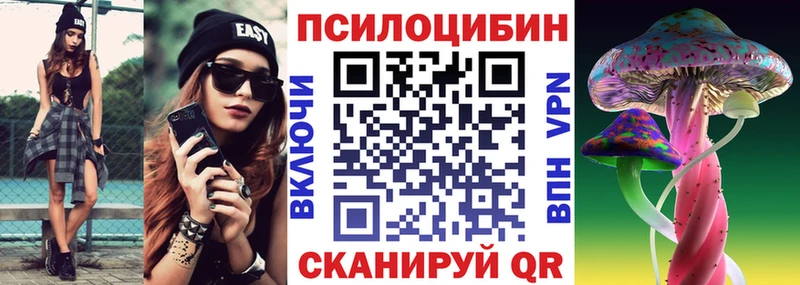 Псилоцибиновые грибы мухоморы  продажа наркотиков  Буйнакск 